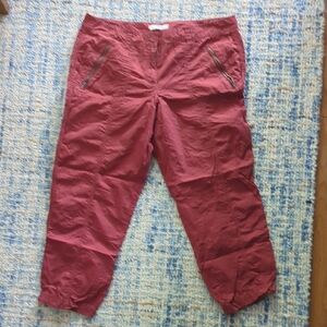 LOFT Burgundy Pants Size 10